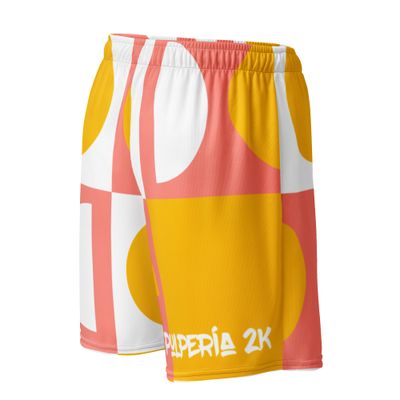 Basketball shorts Eclectik