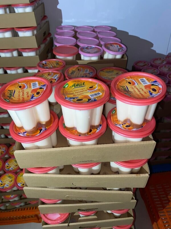 yayourt grand pot fruite