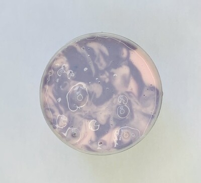 Unicorn swirl