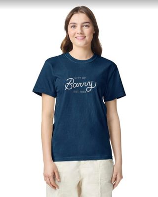 Barry 250 Navy