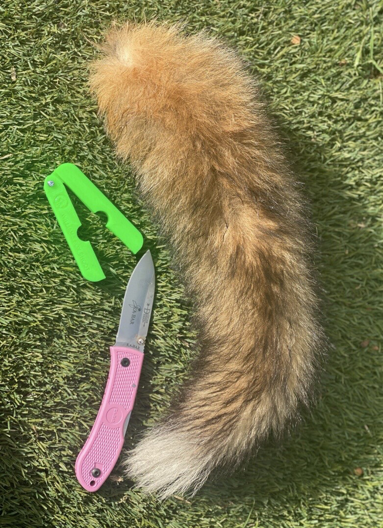 WFS Tailing Tool