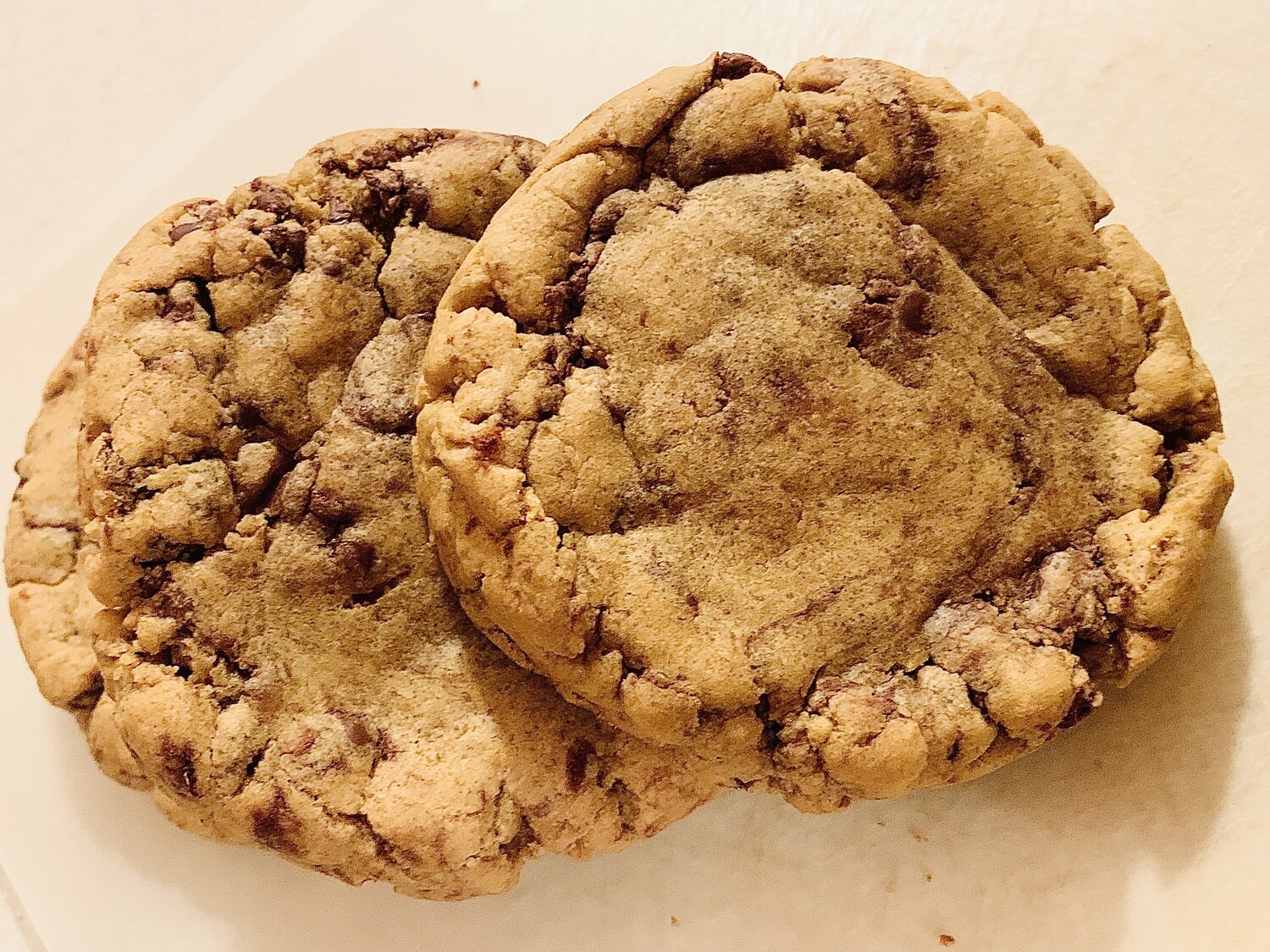 Peanut Butter Chocolate Chip Protein Cookie