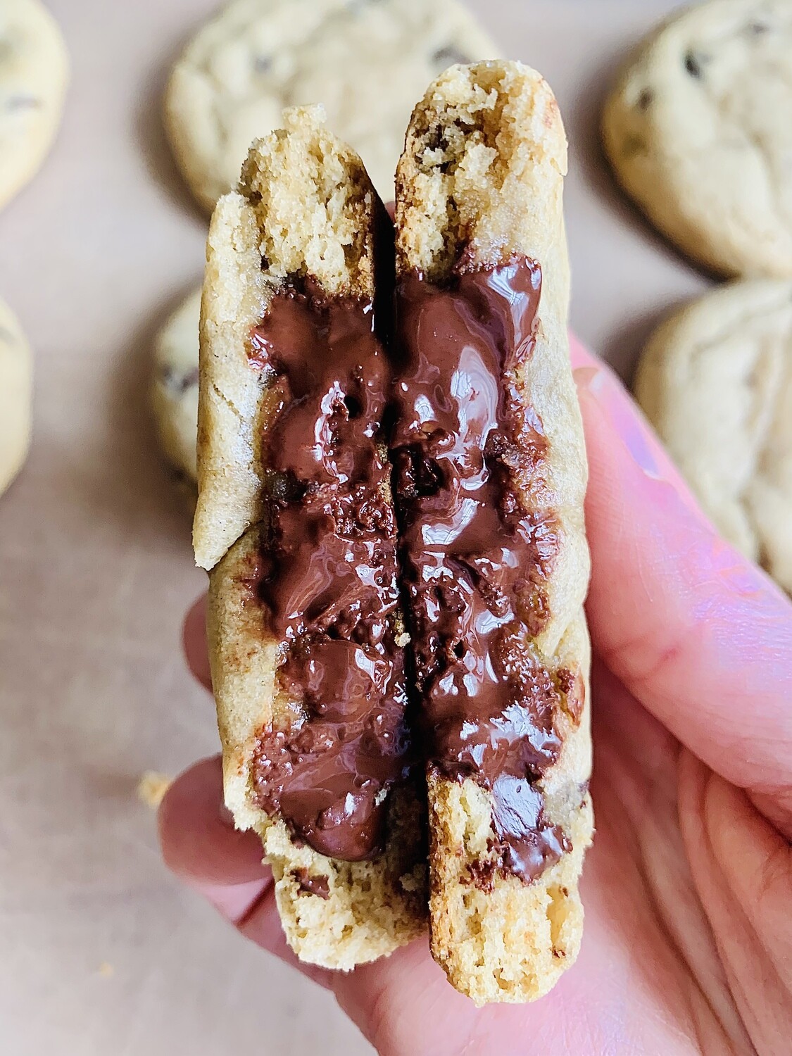 Gluten Free Chocolate Chip Cookie