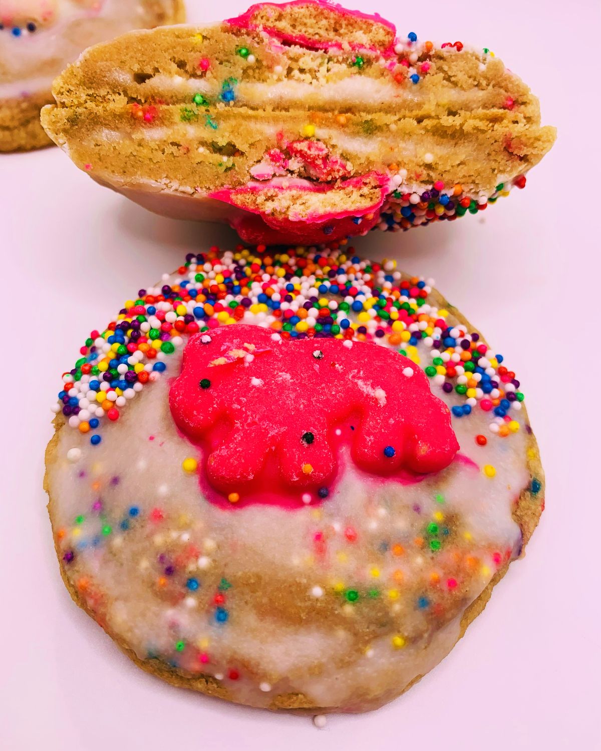 Circus Animal Protein Cookie
