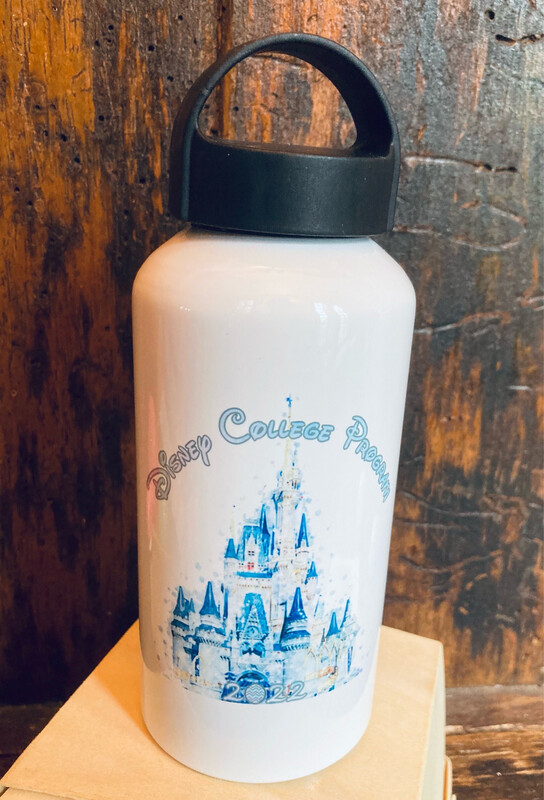 DCP 17oz Aluminum Water Bottle With Handle Lid