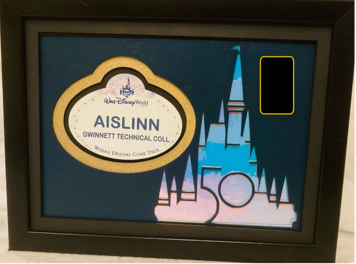 Specialty Display Frames for Aaron Halling