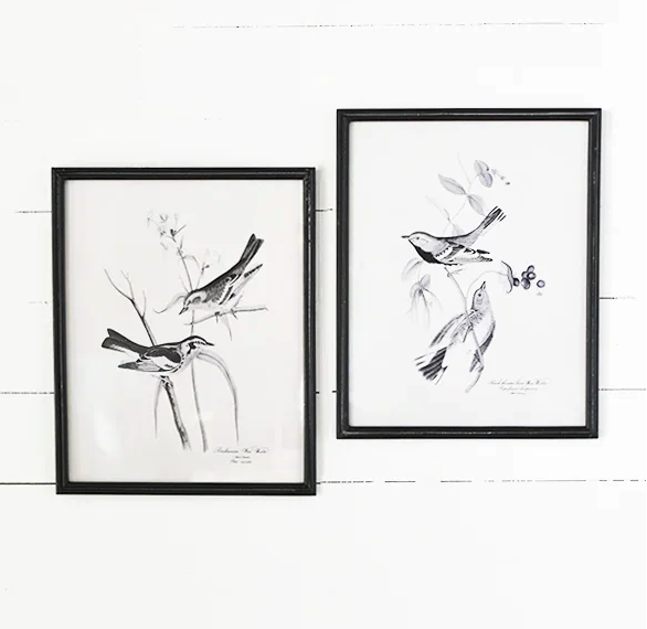 Black & White Bird Print