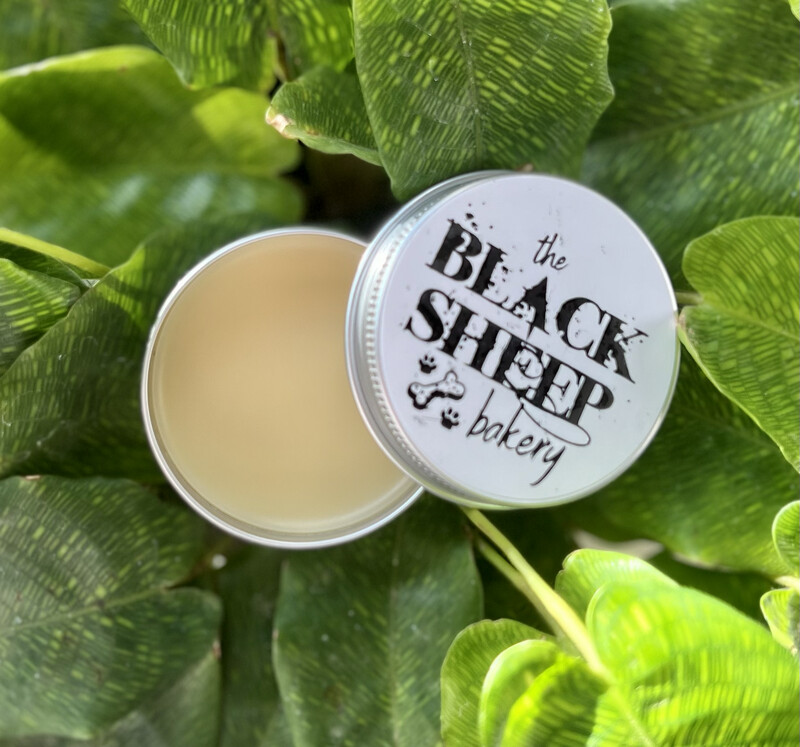 Nose &amp; Paw Salve