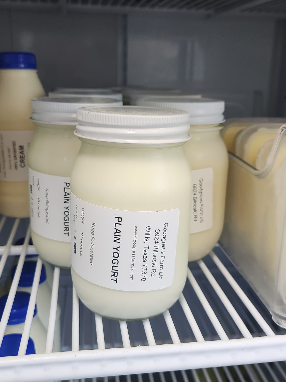 Plain Yogurt