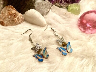 Nature’s Ear-wings
