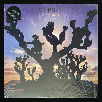 DJ Koze - Knock Knock (2x Vinyl LP)