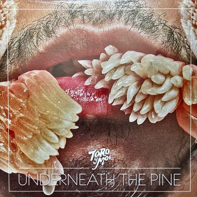 Toro Y Moi – Underneath The Pine (Vinyl LP)