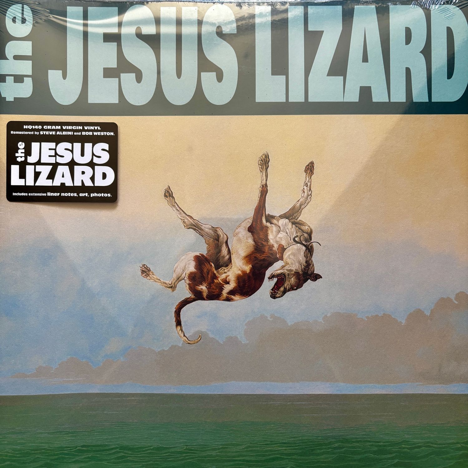 The Jesus Lizard - Down (Vinyl LP) (Preorder)