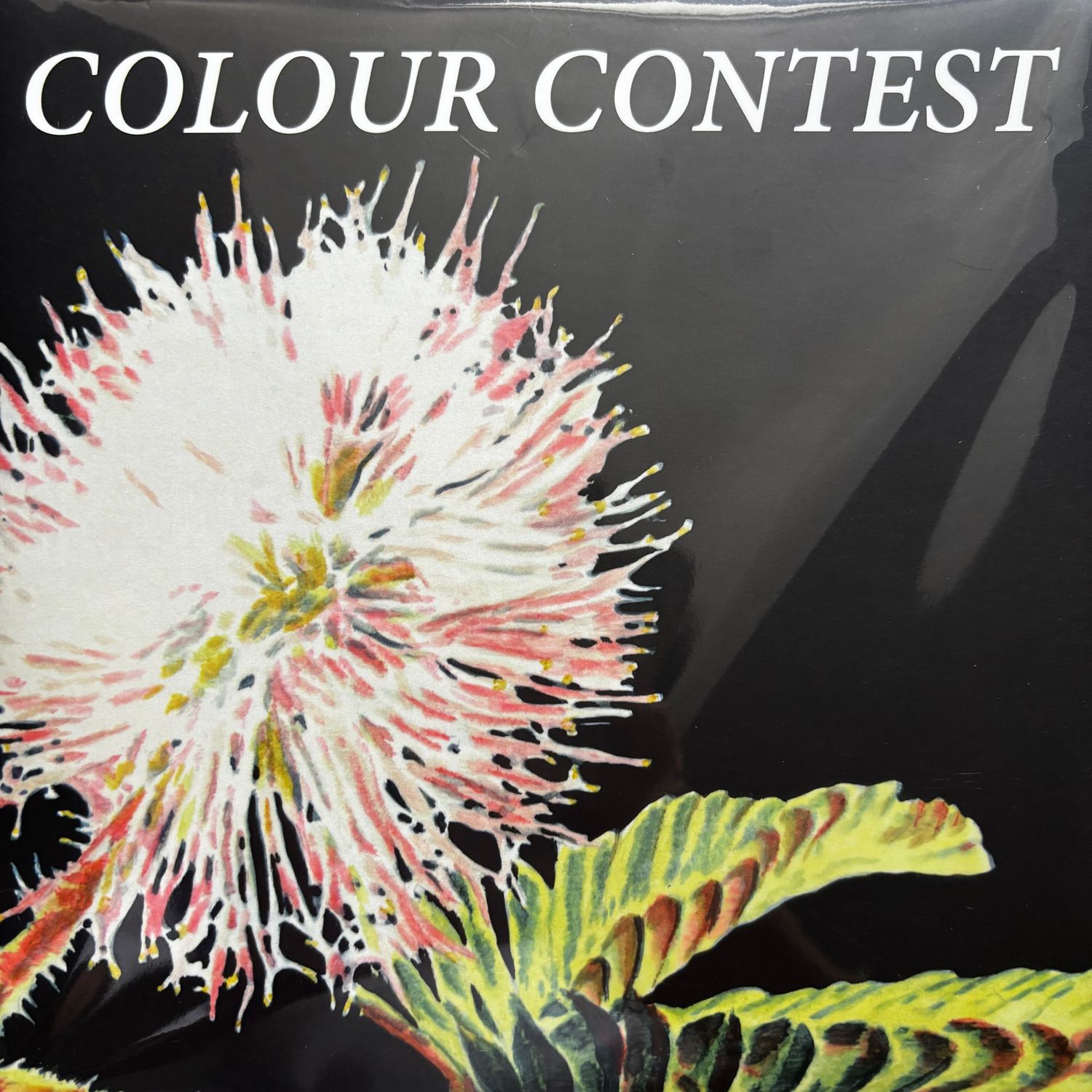Colour Contest - In The Meantime/ Me &amp; Your Melanie 7”