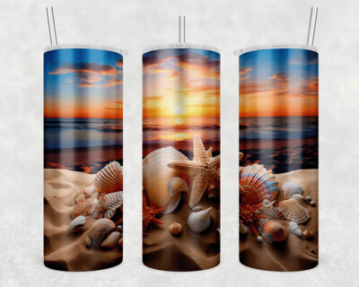3D Shells &amp; Sunset