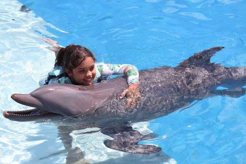 Nage avec les dauphins sans transport