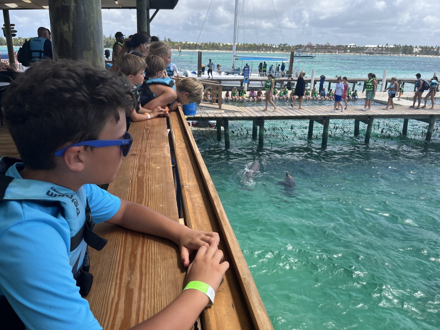 Swim with dolphins without transportation