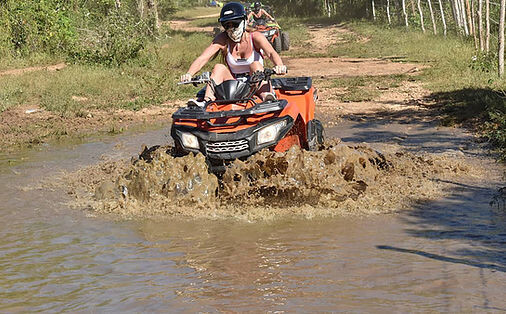 Dune Buggy or 4 wheeler half day tour