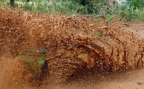 Dune Buggy or 4 wheeler half day tour