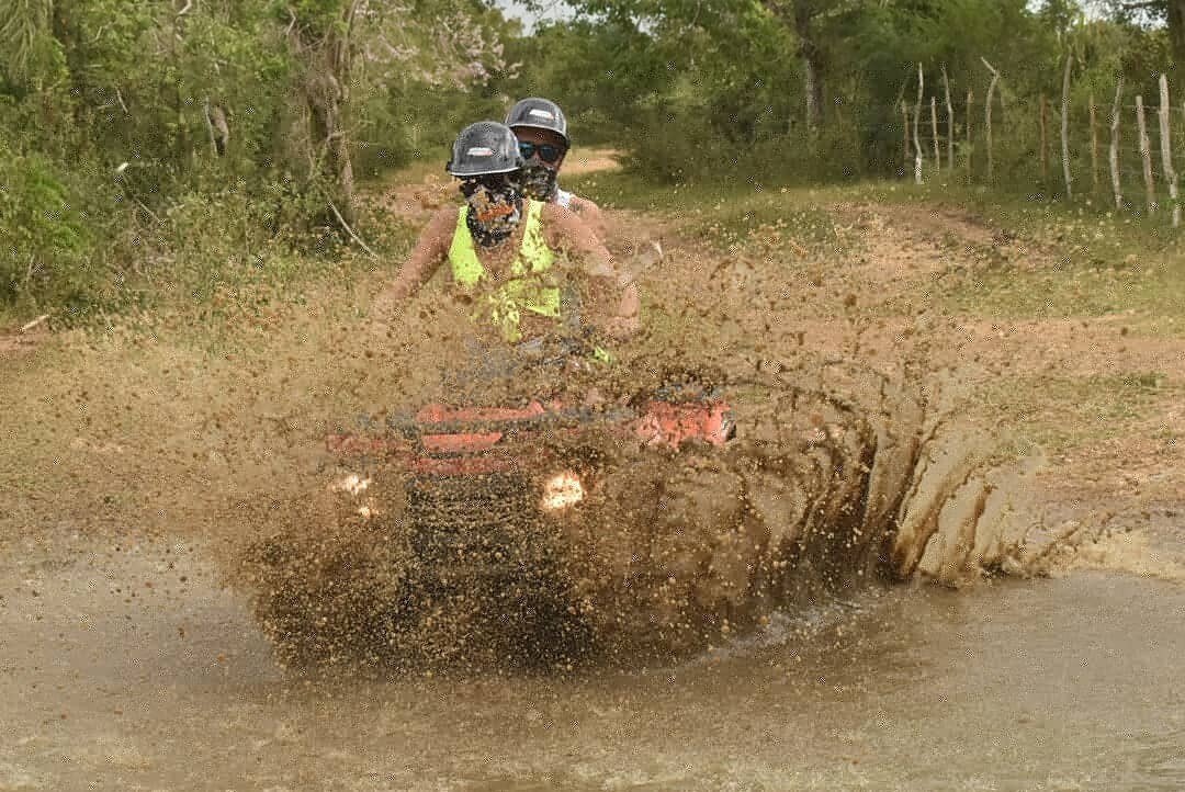 Dune Buggy or 4 wheeler half day tour