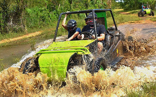 Dune Buggy or 4 wheeler half day tour