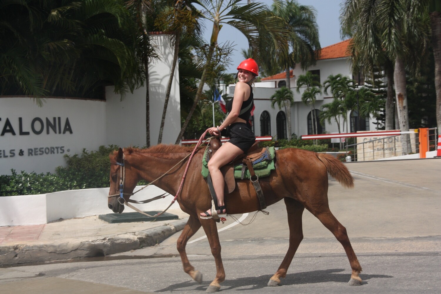 Horeseback ride in Bayahibe
