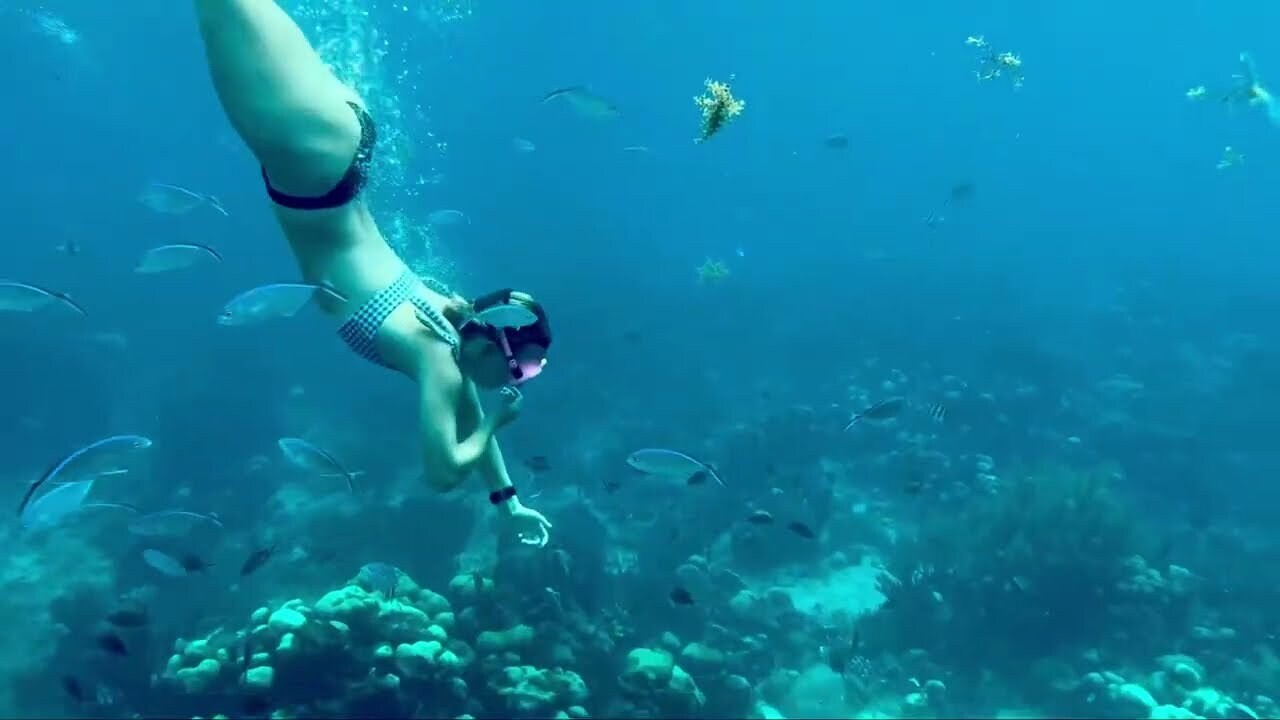 Catalina Snorkeling