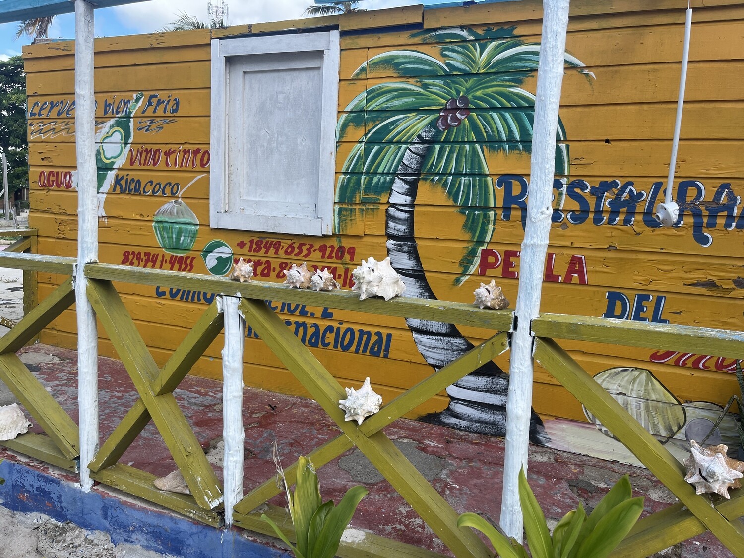Aida at La Romana port: Saona Island