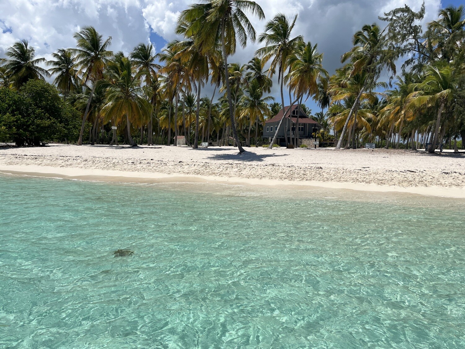 Aida at La Romana port: Saona Island