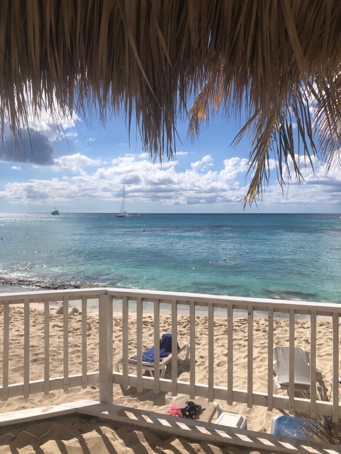 Mein Schiff at La Romana port: Snorkeling at Catalina Island