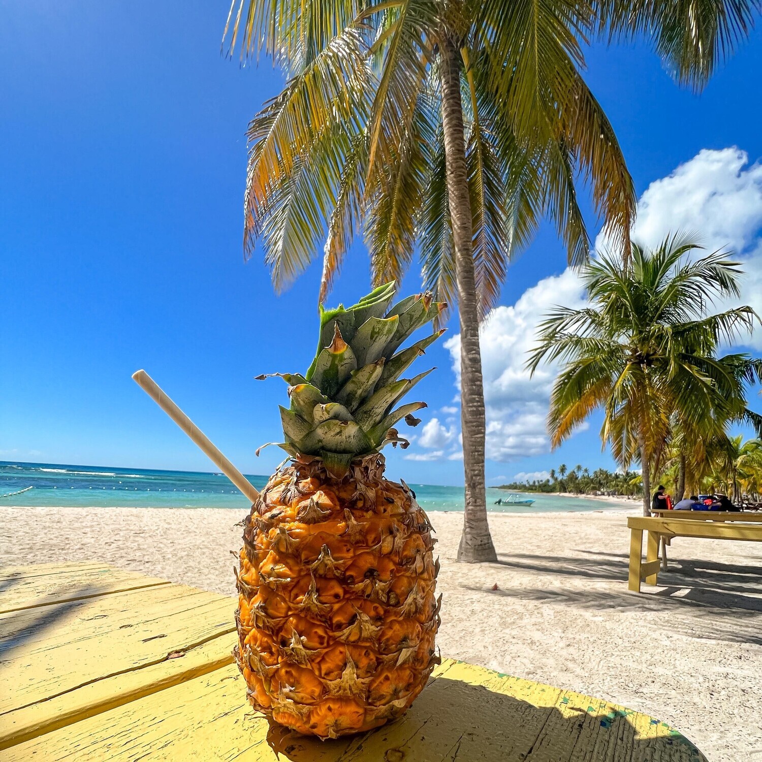 Costa at La Romana port: Saona Island