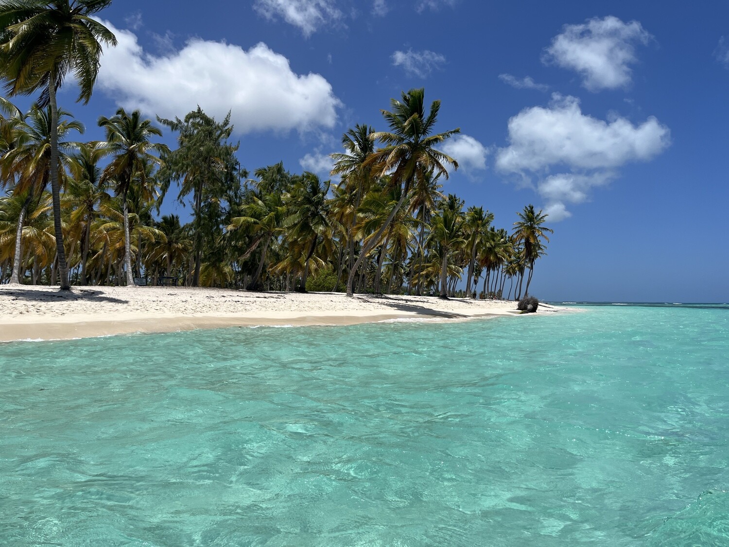 Costa at La Romana port: Saona Island