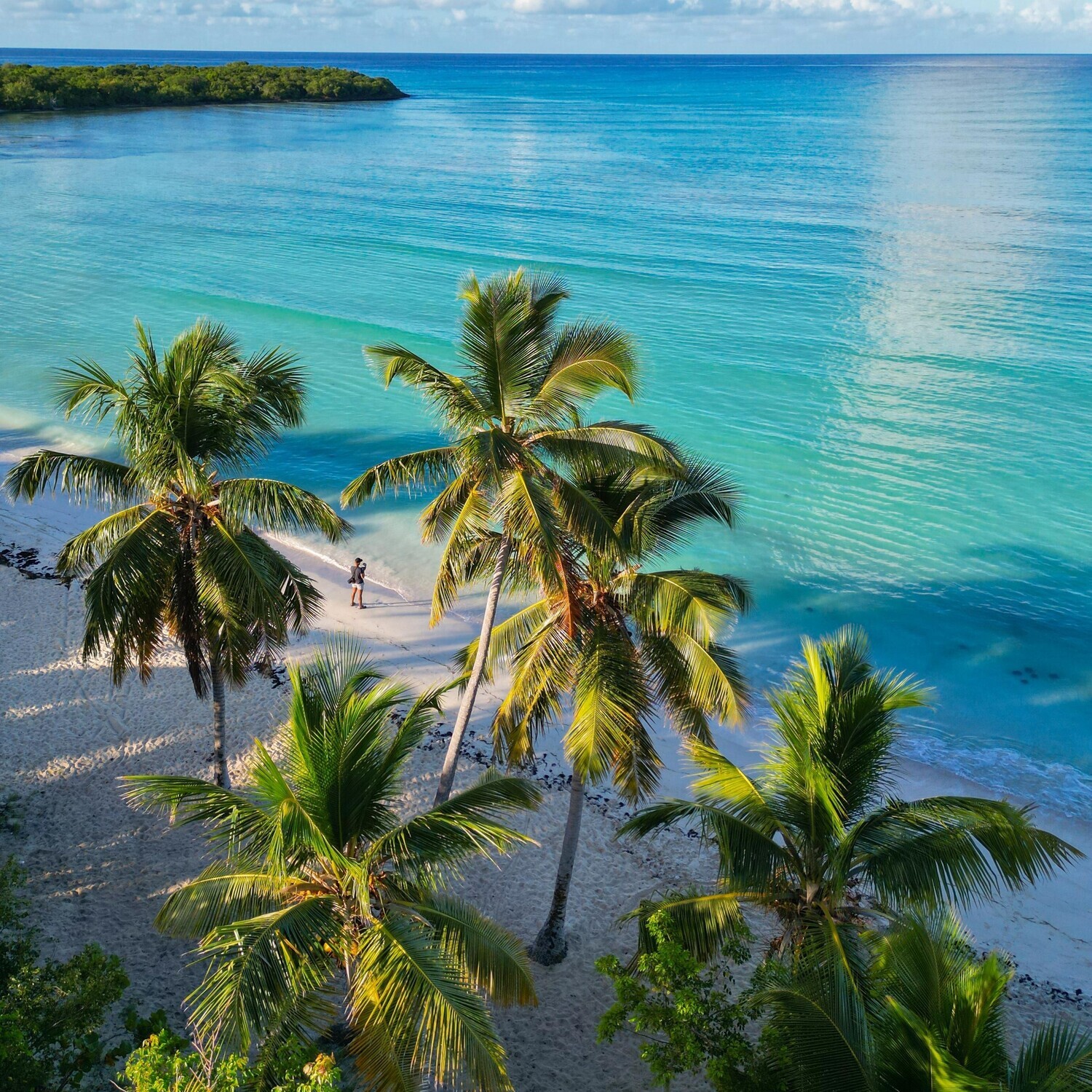 Costa at La Romana port: Saona Island