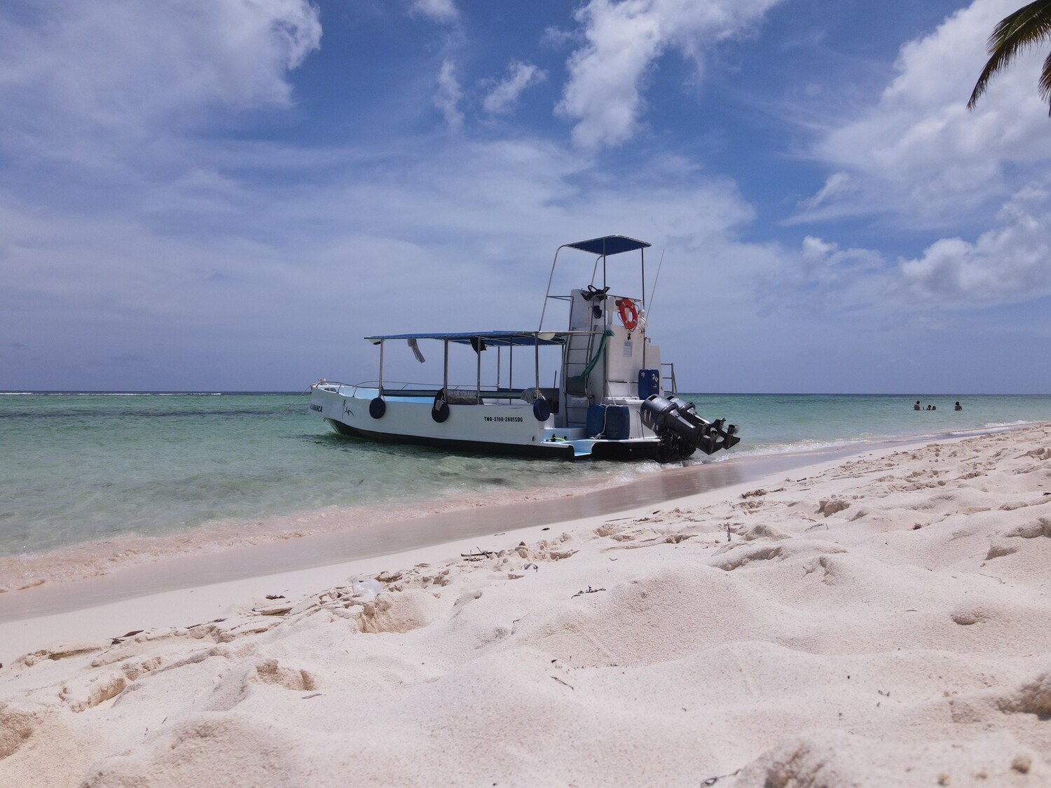 Carnival at La Romana port: Saona Island