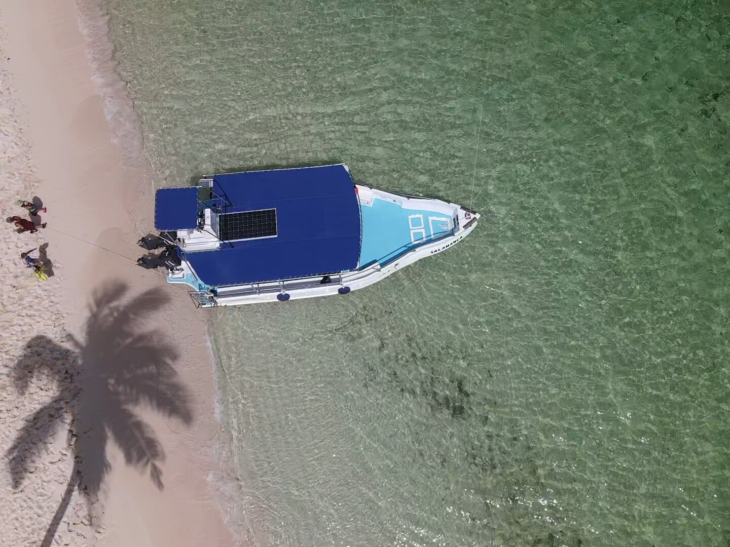 Carnival at La Romana port: Saona Island