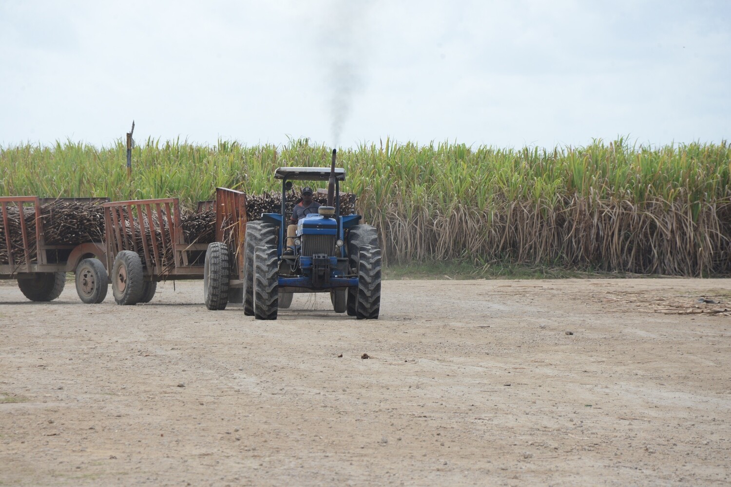 From La Romana port: Buggy tour