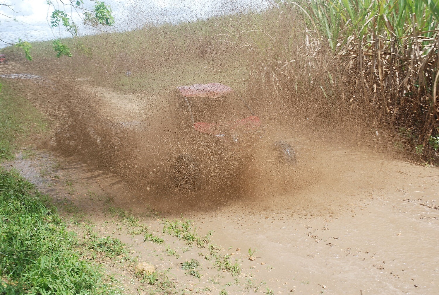 From La Romana port: Buggy tour