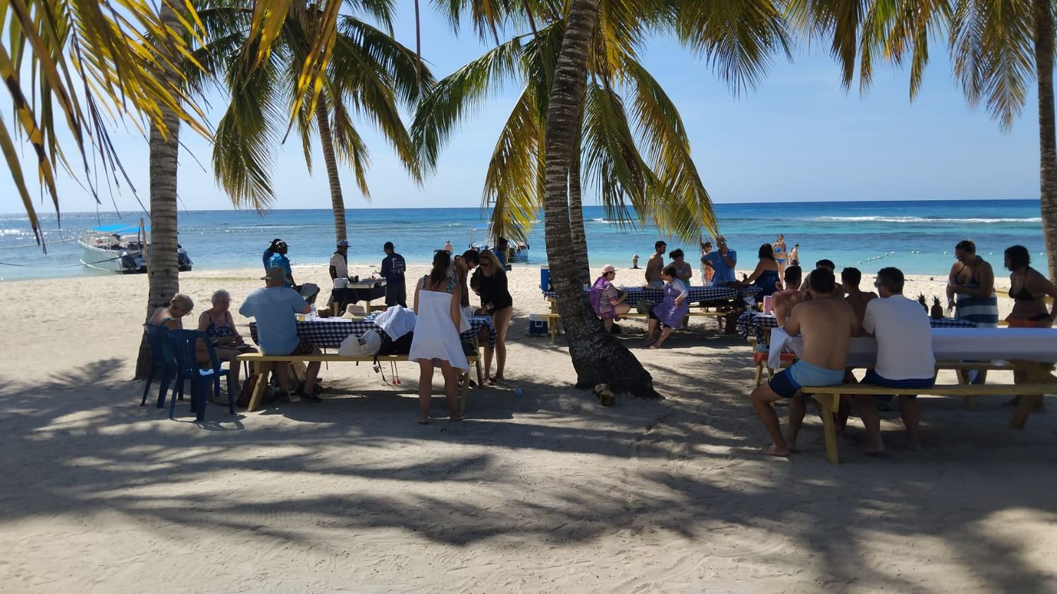 Marella Discovery at La Romana port: Saona Island