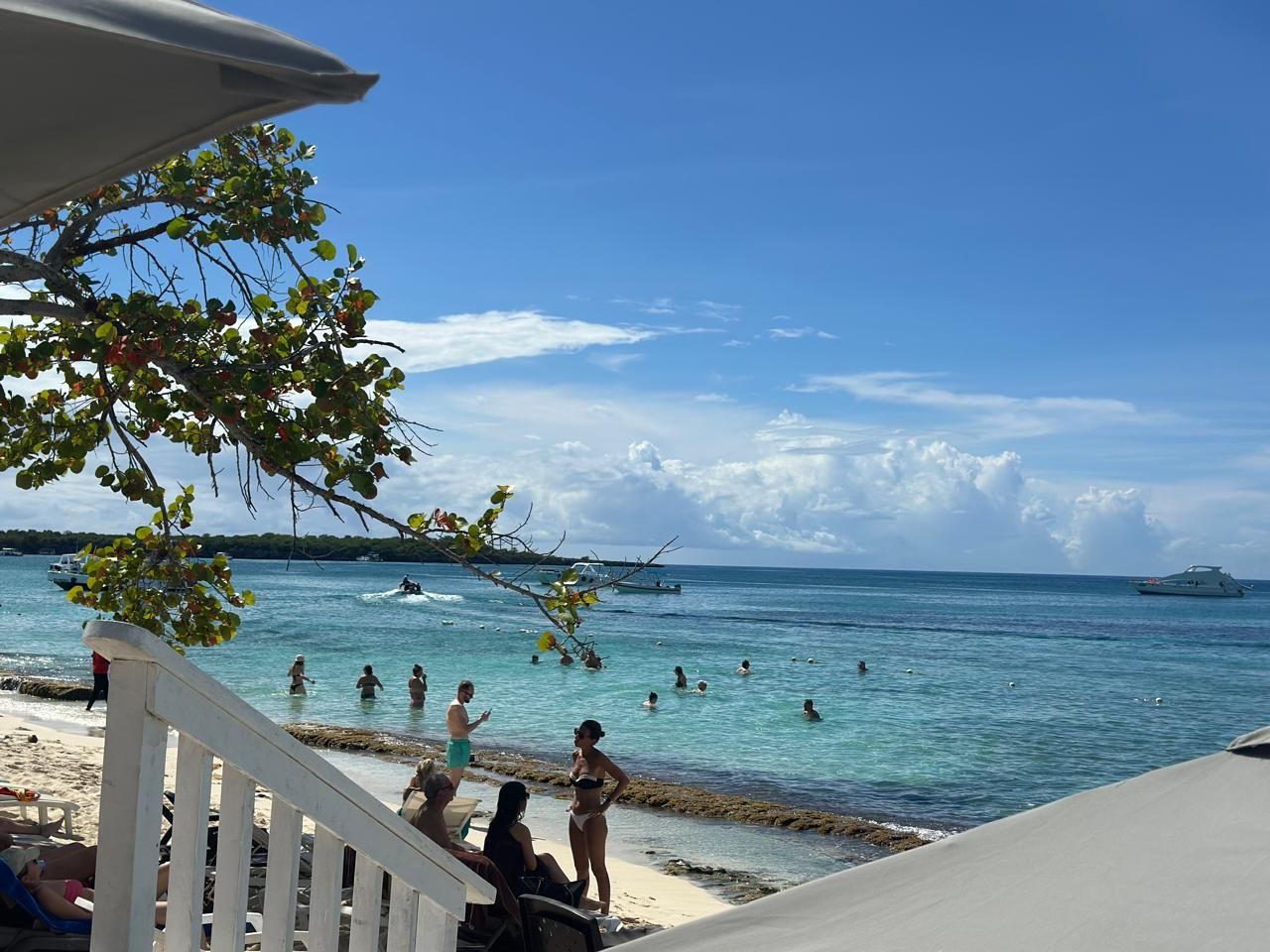 Mein Schiff at La Romana port: Snorkeling at Catalina Island