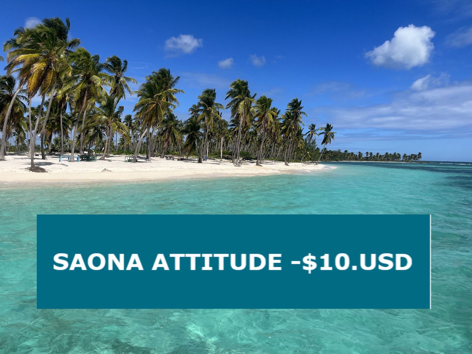 Saona Attitude avec remise de $10.USD par adulte Saona Attitude avec remise de $10.USD par adulte