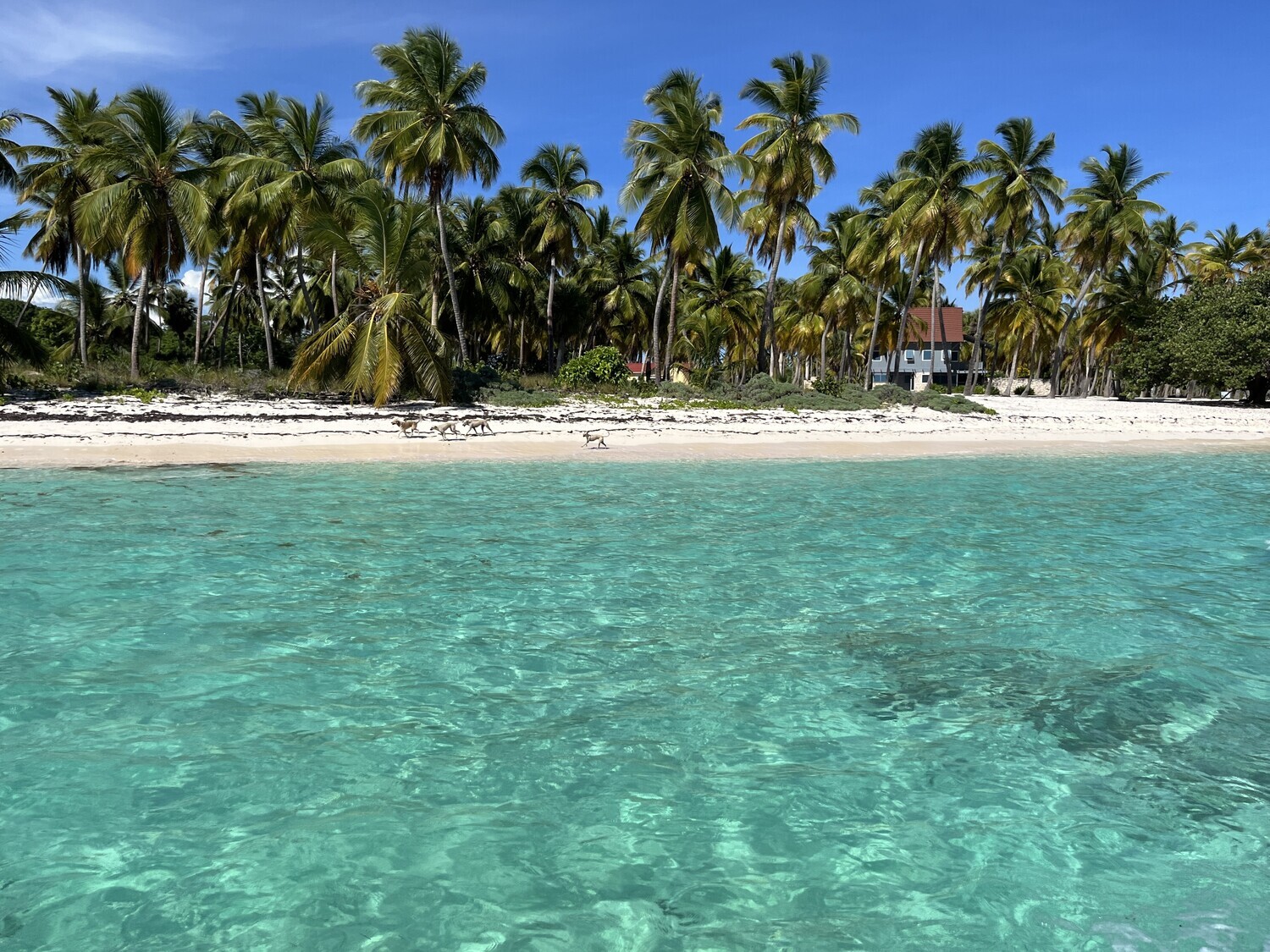 Small group of travelers enjoying the sea at Saona