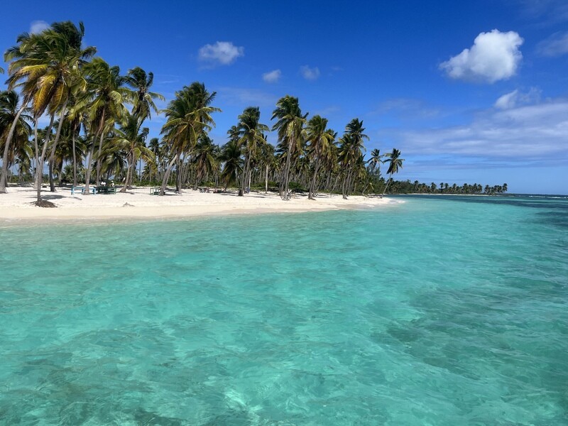 Turquoise sea and wild beach of Saona Island