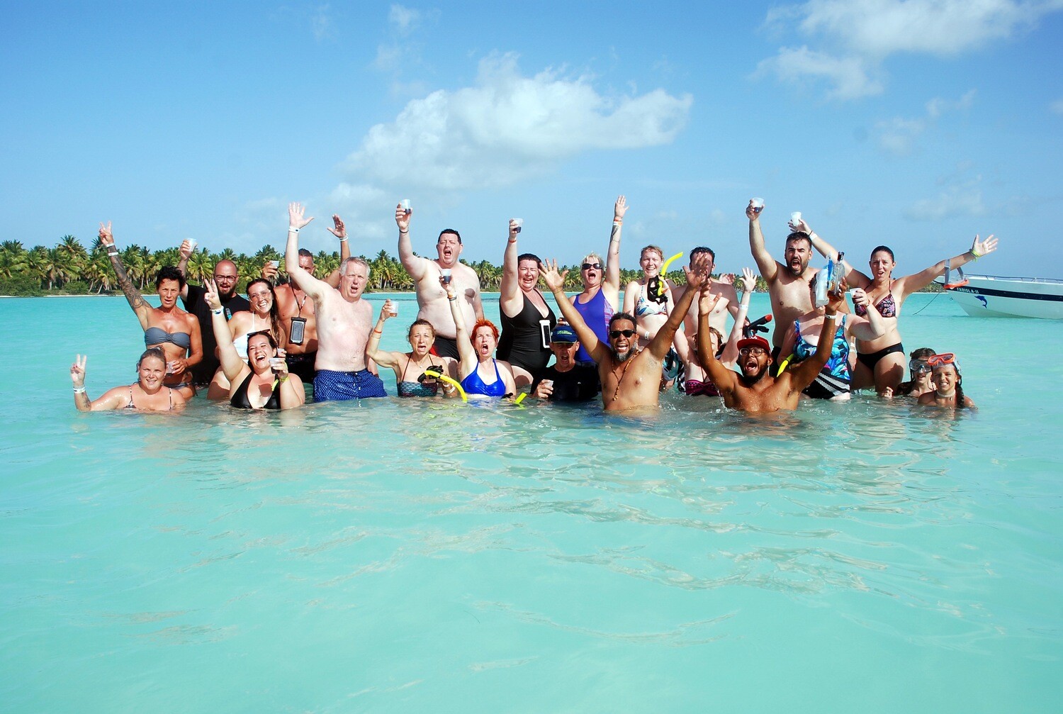 White sand beach with palm trees on Saona