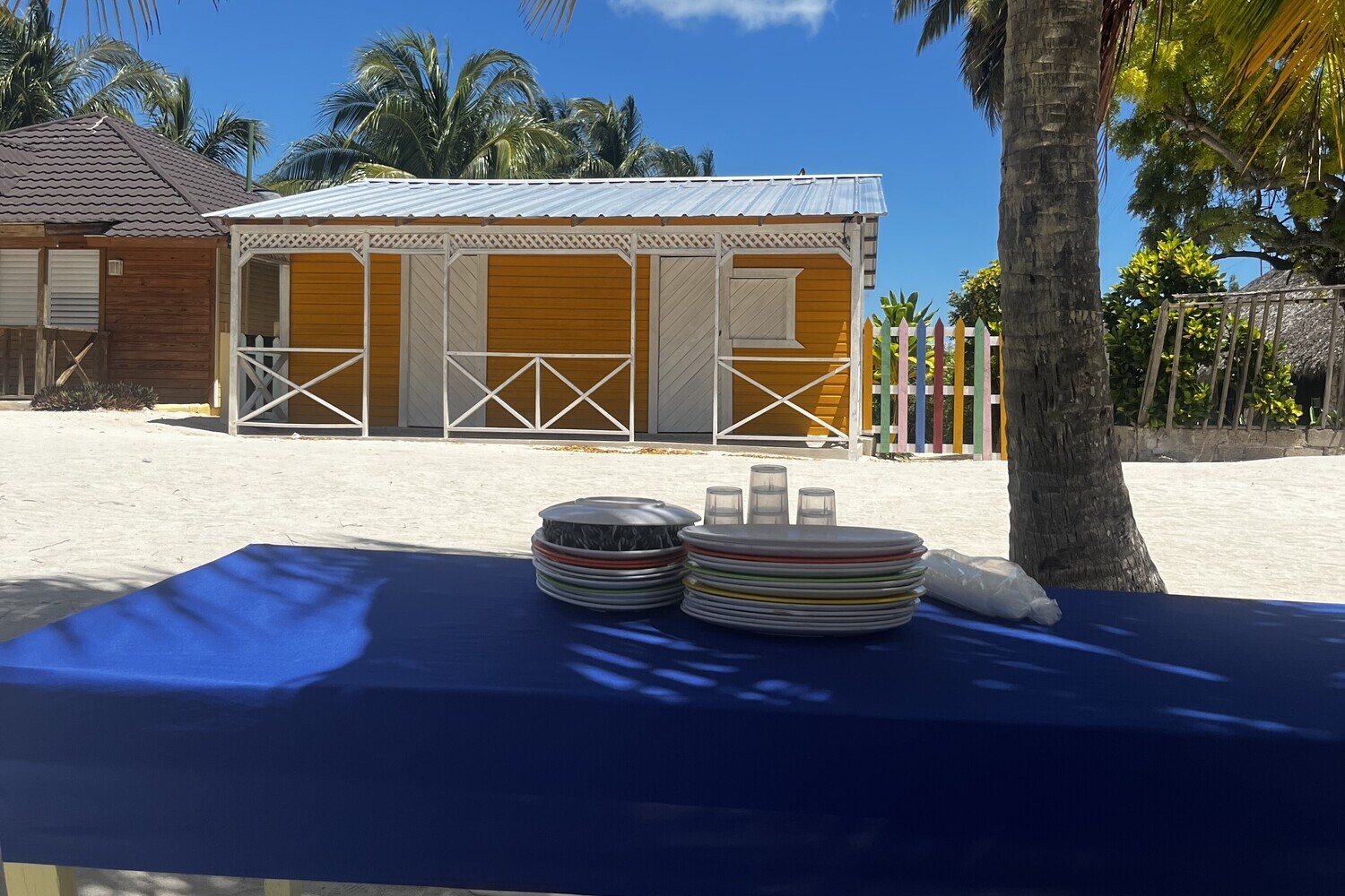 Colorful house and palm tree in Saona village