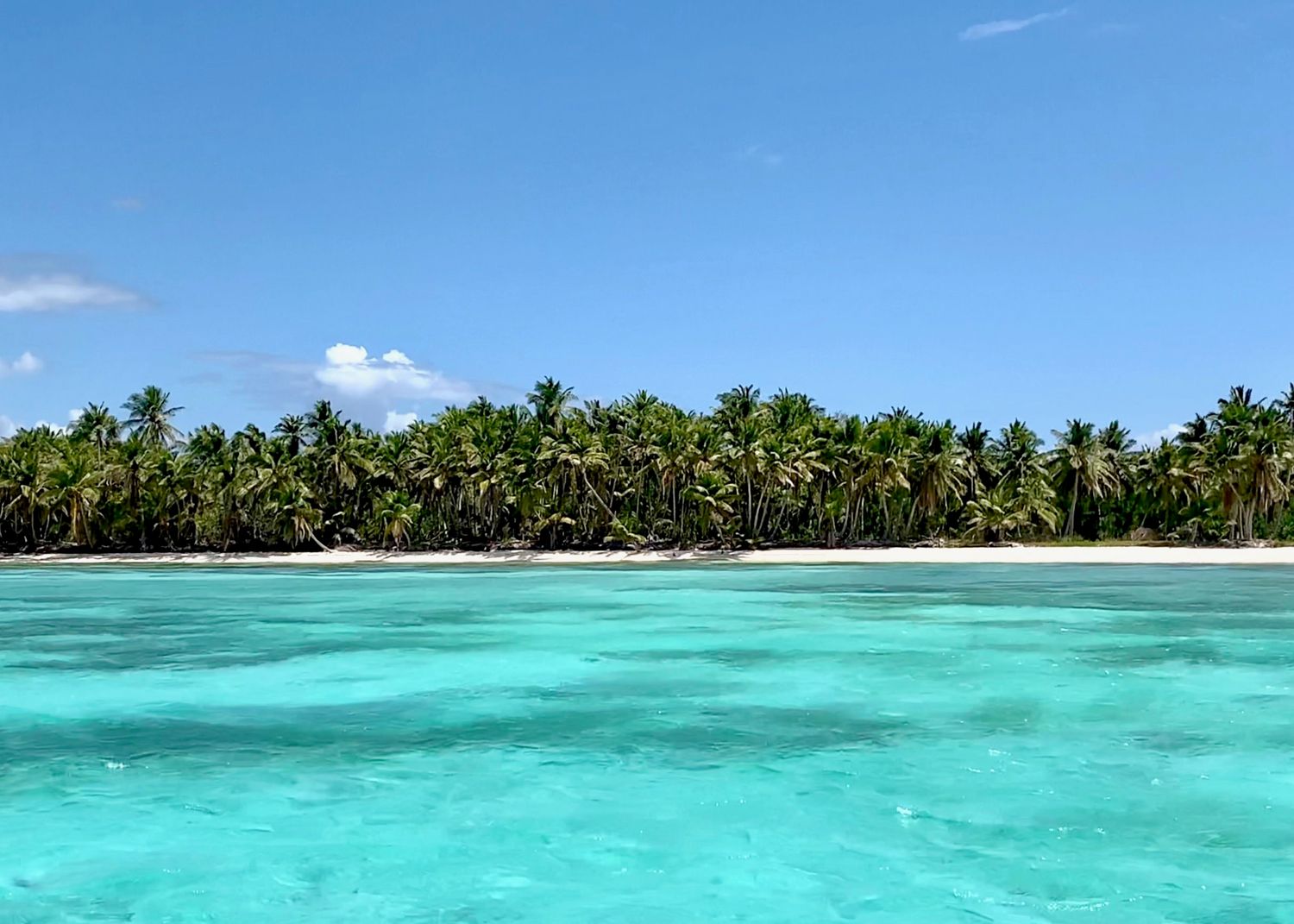 Saona beach lined with coconut trees and white sand