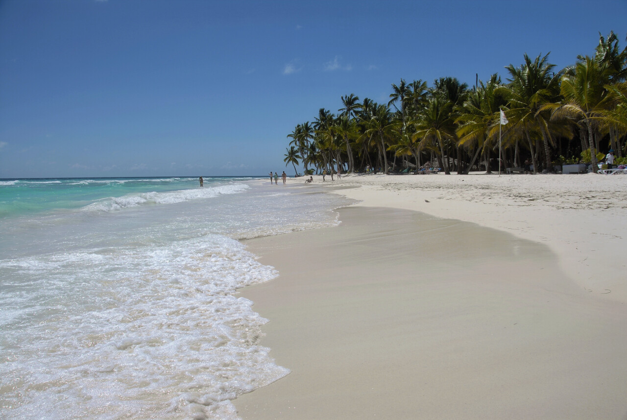 Deserted Saona beach with tropical palm trees