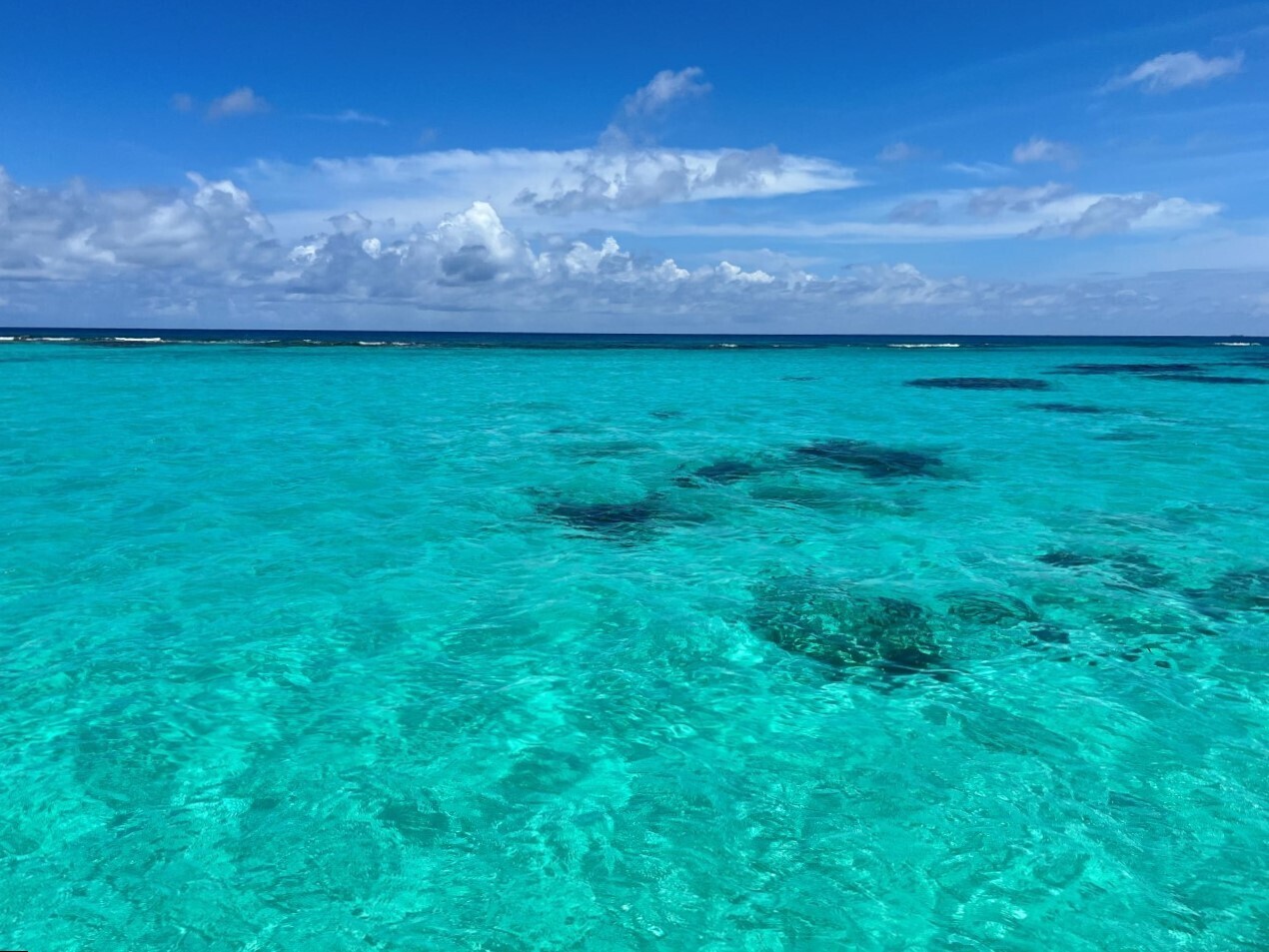 Turquoise sea and white sand at Saona Hola