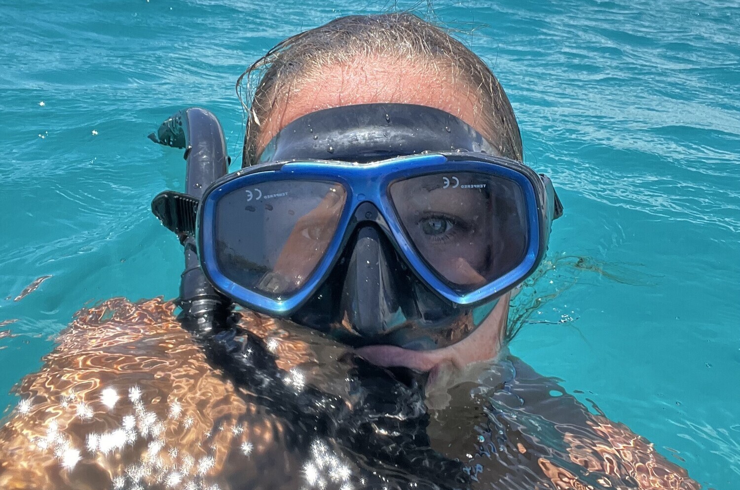 Snorkeler exploring Catalina’s underwater world