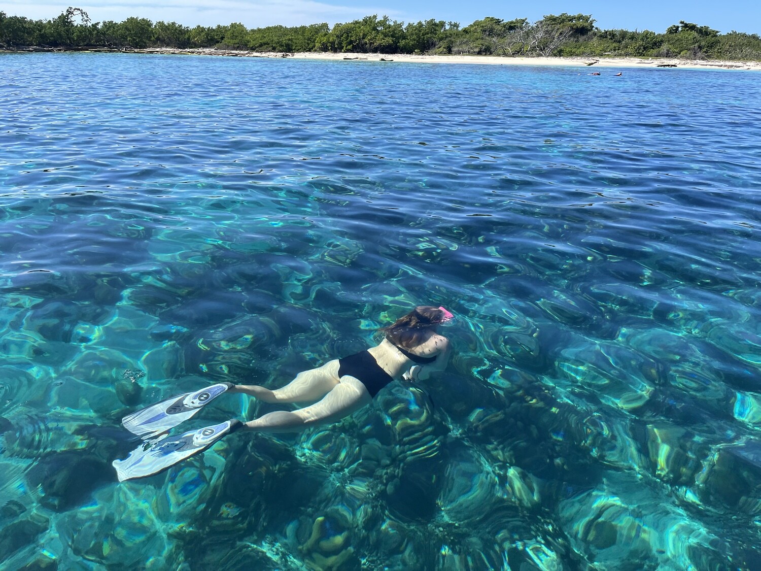 Surface snorkeling above the reefs of Catalina