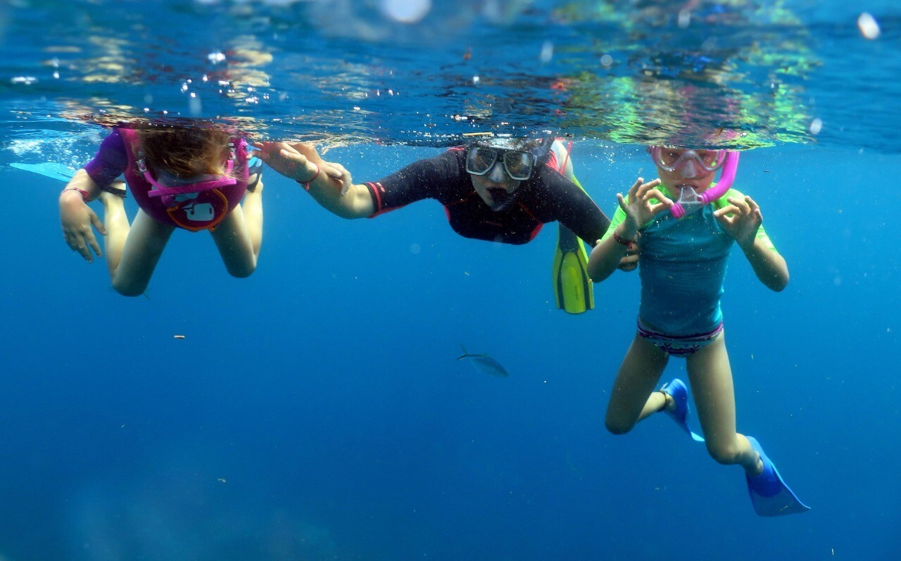 Voyageurs en snorkeling dans les eaux claires de Catalina
